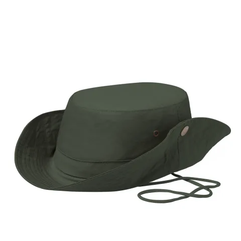 Safari