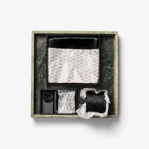 Solid Paisley Tie With Giftbox